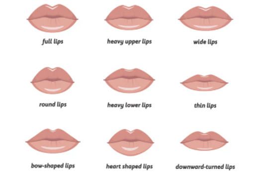 Lips shape
