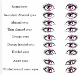 Eye shape